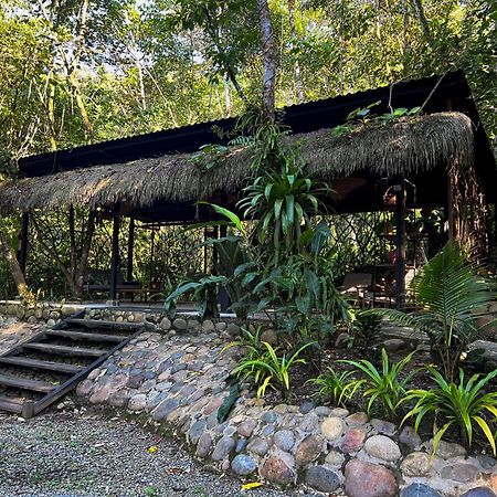 Kuyana Amazon Lodge Archidona Ngoại thất bức ảnh