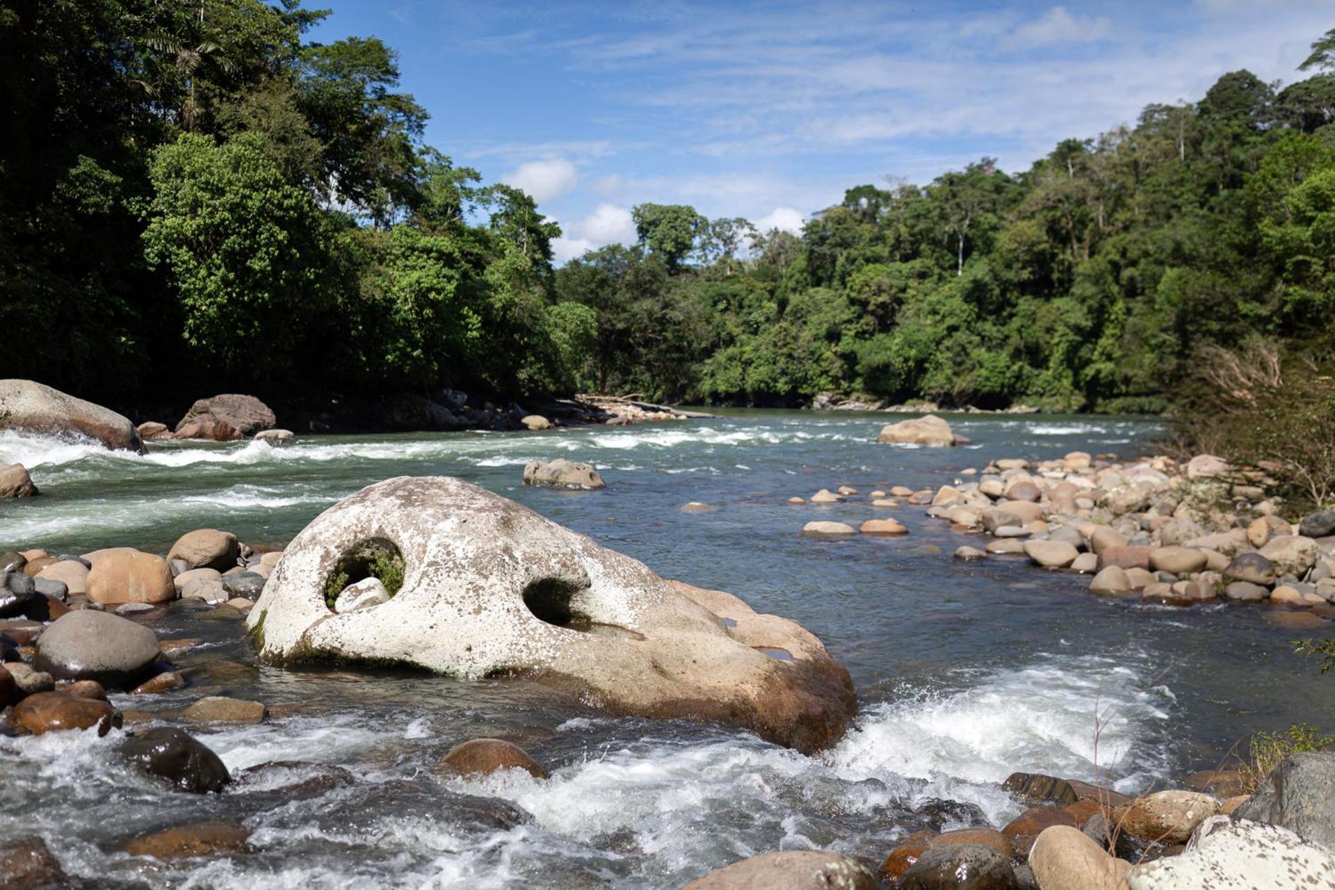 Kuyana Amazon Lodge Archidona Ngoại thất bức ảnh